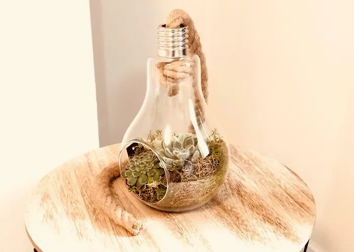 Oupen De Dor San Blas *